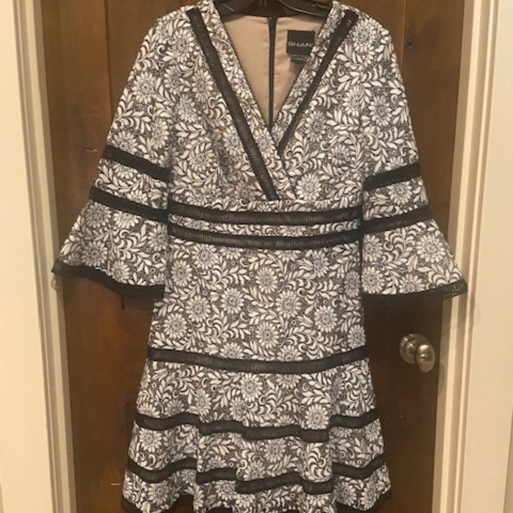 Shani Fit and Flare Lace Cocktail Dress